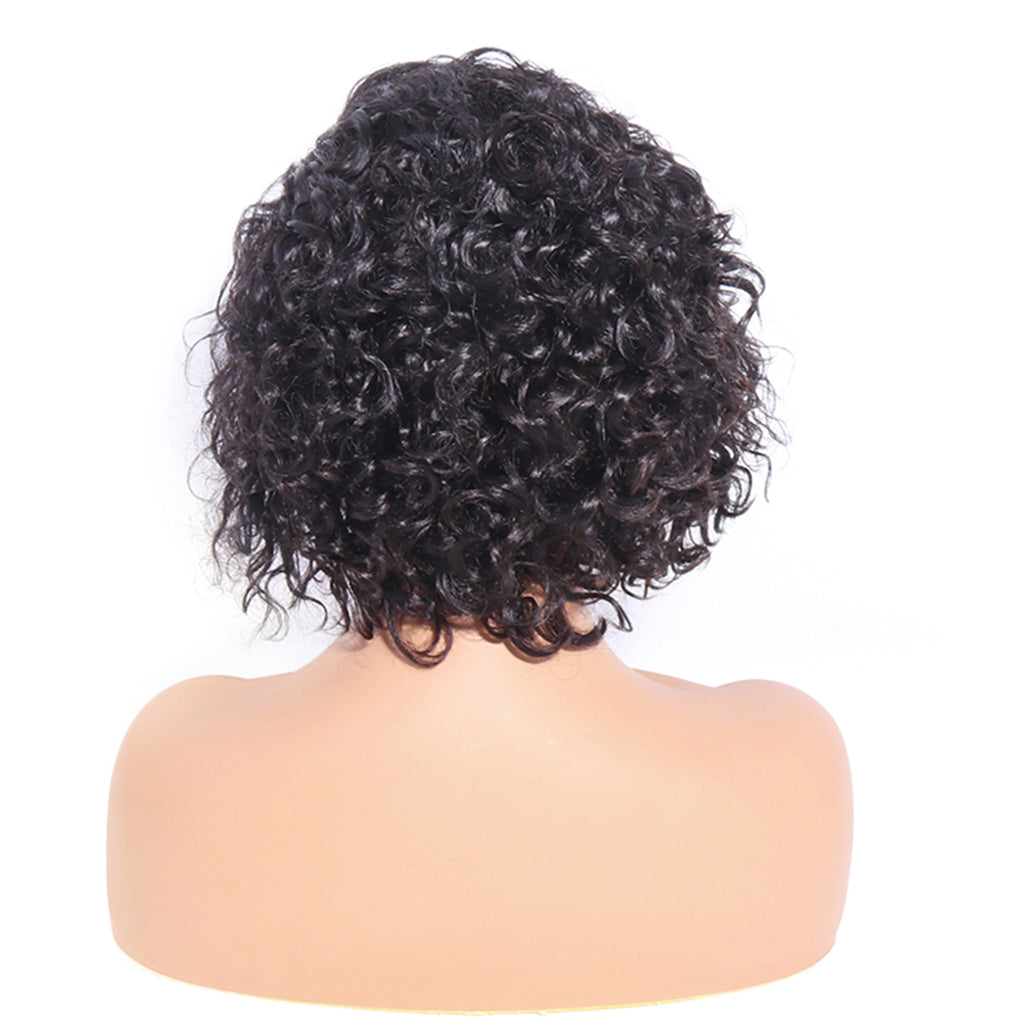 Pixie Cut Lace Wig Preplucked Short Human Hair Wigs Curly 13x4 Lace Glueless Wigs